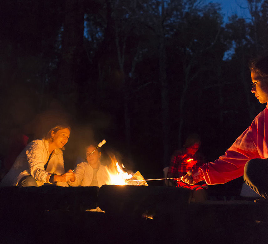 Bonfire